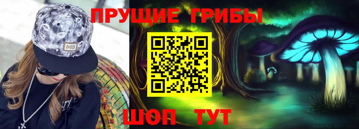 Псилоцибиновые грибы GOLDEN TEACHER  Вход с VPN  Великий Устюг 